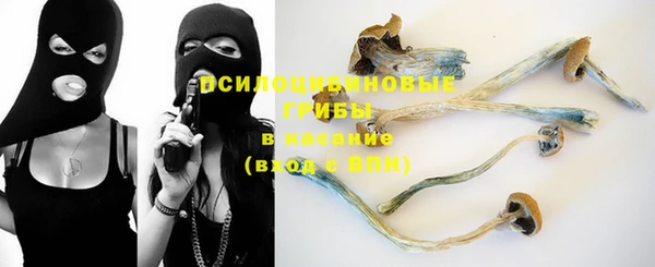 стаф Усинск